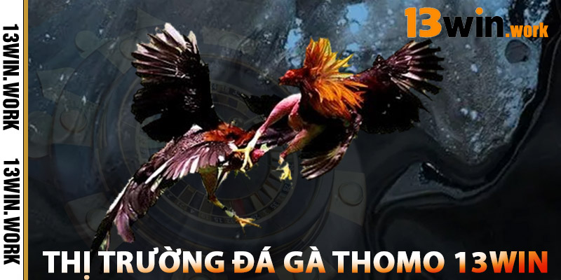 Đá Gà Thomo 13WIN – Trải Nghiệm Trường Gà Campuchia HD 3 Đánh Giá Thị Trường Đá Gà Thomo 13WIN